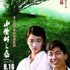 山楂树之恋