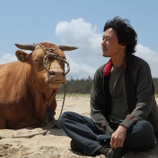 與牛一起旅行的方法