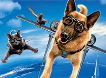 11月19日：《猫狗大战2》发DVD 《不求回报》将映
