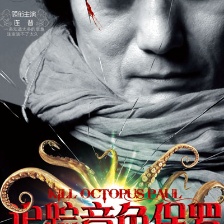 追蹤章魚保羅