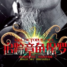 追蹤章魚保羅