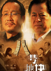 八號(hào)地塊