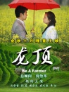 龍頂