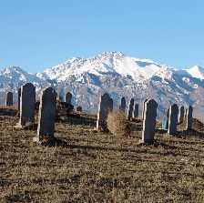 守望天山