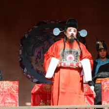 母大蟲顧大嫂