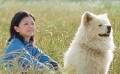 《秋田犬蓬夫》預告片曝光 人氣狗出道影壇