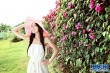 甘薇夏日写真出炉 花海中诠释清新唯美夏意盎然