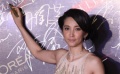 “華誼之夜”星光熠熠 李冰冰金裙亮相艷壓群芳