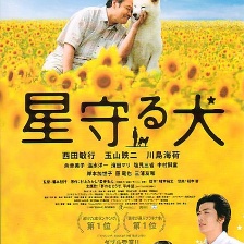 星之守護(hù)犬