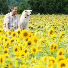 星之守護(hù)犬