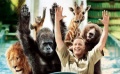 《動物園看守》獨家中文片段 囧胖小便出糗狼相助