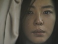 丰山犬