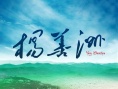 楊善洲