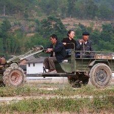 楊善洲