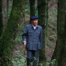 楊善洲