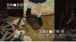 虞美人盛开的山坡