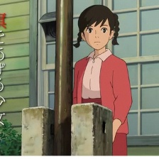 虞美人盛開的山坡