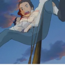 虞美人盛開的山坡