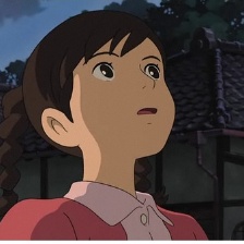 虞美人盛開的山坡