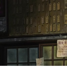 虞美人盛開的山坡