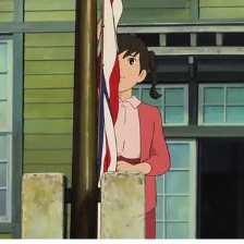 虞美人盛開的山坡