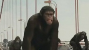 《猿族崛起》中文片花 猩猩军团全力猛攻势压人类