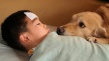 狗狗的島嶼