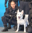 狗与警察