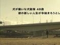 犬饲的小狗