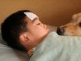 狗狗的岛屿