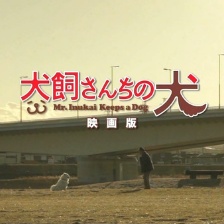 犬飼的小狗