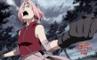 火影忍者剧场版8：疾风传之血狱