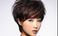 “愛猜”維嘉變身“妻管嚴(yán)” 妻子、初戀同時(shí)現(xiàn)身