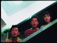 用爱捉伊人