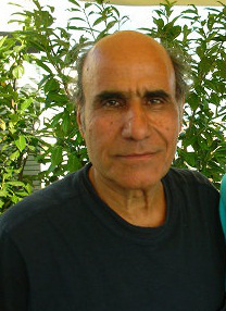 阿米尔·纳得瑞