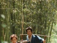 一枚明信片