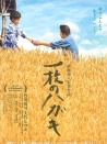 一封明信片