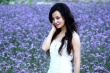 陶红娇媚写真曝光 紫色花海中演绎白裙浪漫