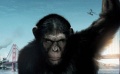 《猿族崛起》蝉联北美票房冠军 《帮助》位居第二