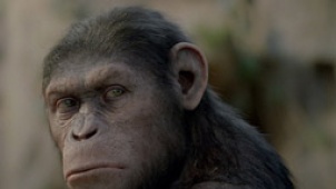 《猿族崛起》凯撒抢镜 真人捕捉演绎“智慧猩猩”