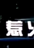 惹火女郎