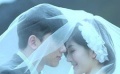 謝娜、張杰婚紗耗時三月 精工細作助力唯美婚禮