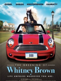 惠特尼的绿苹果