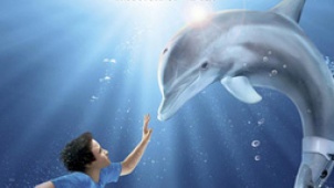 《海豚的故事》感动上映 “冬天”获救感人间温暖