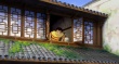 夢(mèng)回金沙城
