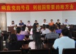 情系梧桐