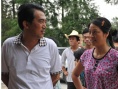 情系梧桐