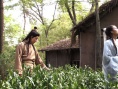 茶亦有道