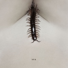 人體蜈蚣2