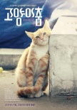 猫咪之舞